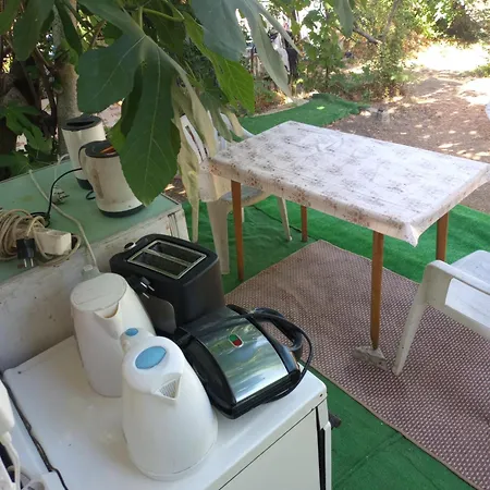 златна рибка 2