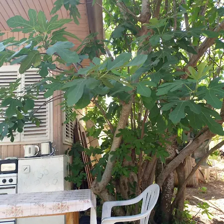 златна рибка 2 Holiday home *